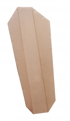 Splint - cardboard